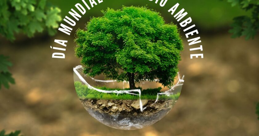 Hoy 5 de junio se celebra el Día Mundial del Medio Ambiente