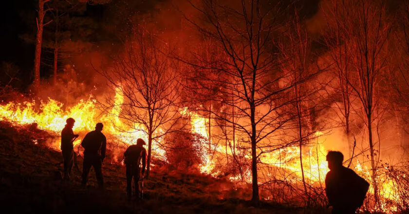 Incendios en Córdoba: Milei visitará las zonas más castigadas y se reunirá con el gobernador Llaryora