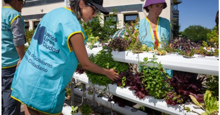 Voluntarios en la huerta hidropónica