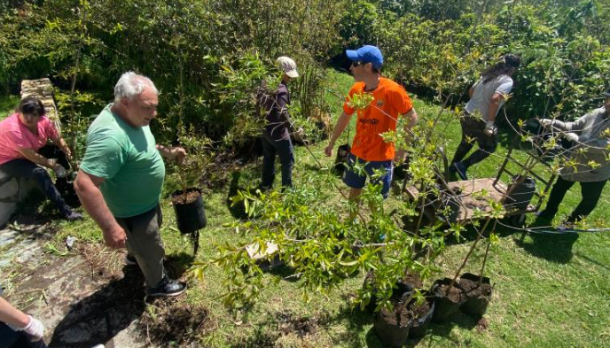 Voluntariados gratuitos de vivero y agricultura urbana