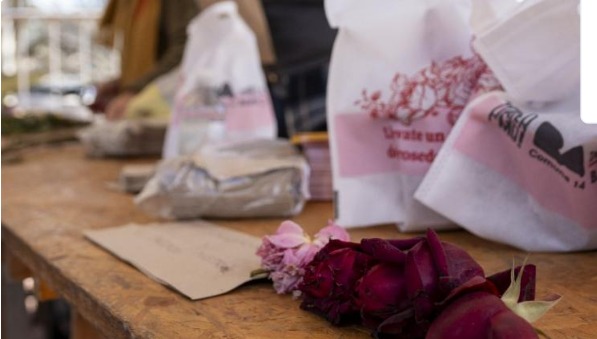 Llega la poda anual al Rosedal de Palermo y se repartirán esquejes a los vecinos