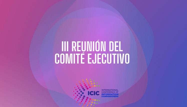 3ra. Reunión del Comité Ejecutivo de ICIC